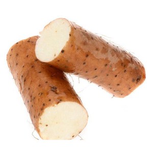 Wild Yam extract